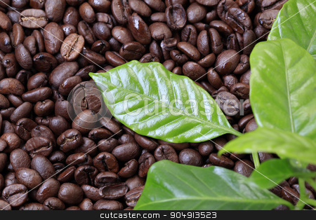 To use this stock image in your creative project, please select the size you need over to the right and click the "Add to Cart" button.
Your downloaded image will come with the Cutcaster watermark removed so don’t worry about the watermark you see on this page. Coffee beans stock photo, Roasted coffee beans and fresh coffee leaves by Digifoodstock