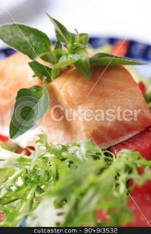 To use this stock image in your creative project, please select the size you need over to the right and click the "Add to Cart" button.
Your downloaded image will come with the Cutcaster watermark removed so don’t worry about the watermark you see on this page. Salmon fillet with salad greens and red orange stock photo, Salmon fillet with salad greens and red orange - detail by Digifoodstock