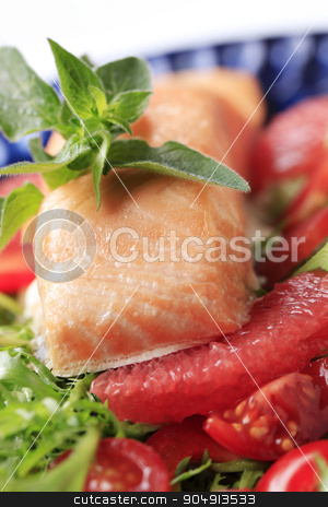 To use this stock image in your creative project, please select the size you need over to the right and click the "Add to Cart" button.
Your downloaded image will come with the Cutcaster watermark removed so don’t worry about the watermark you see on this page. Salmon fillet with salad greens and red orange stock photo, Salmon fillet with salad greens and red orange - detail by Digifoodstock
