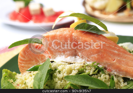 To use this stock image in your creative project, please select the size you need over to the right and click the "Add to Cart" button.
Your downloaded image will come with the Cutcaster watermark removed so don’t worry about the watermark you see on this page. Salmon fillet with couscous stock photo, Salmon fillet with couscous and rocket salad garnished with fresh sage leaves by Digifoodstock
