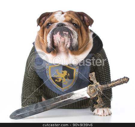 To use this stock image in your creative project, please select the size you need over to the right and click the "Add to Cart" button.
Your downloaded image will come with the Cutcaster watermark removed so don’t worry about the watermark you see on this page. guard dog stock photo, bulldog dressed up like a knight on white background by John McAllister