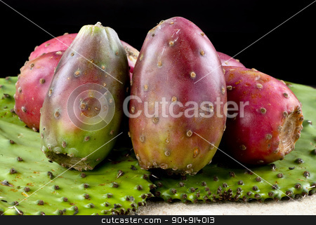 To use this stock image in your creative project, please select the size you need over to the right and click the "Add to Cart" button.
Your downloaded image will come with the Cutcaster watermark removed so don’t worry about the watermark you see on this page. Cactus Prickly Pears. stock photo, Fresh cactus prickly pears on cactus leafs. by WScott