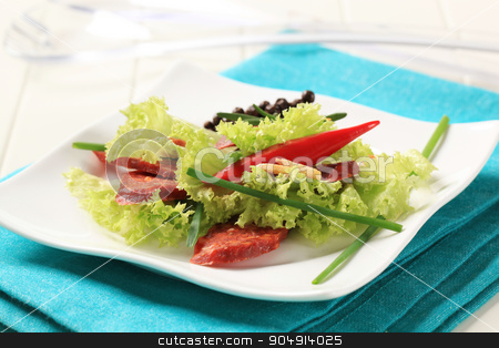 To use this stock image in your creative project, please select the size you need over to the right and click the "Add to Cart" button.
Your downloaded image will come with the Cutcaster watermark removed so don’t worry about the watermark you see on this page. Appetizer stock photo, Fresh lettuce and slices of spicy sausage by Digifoodstock