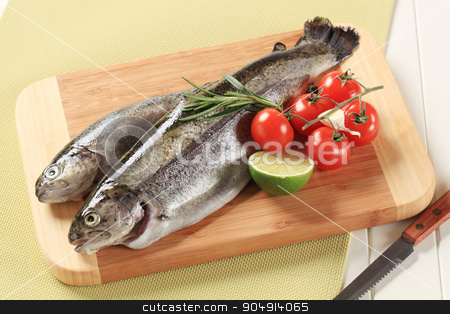 To use this stock image in your creative project, please select the size you need over to the right and click the "Add to Cart" button.
Your downloaded image will come with the Cutcaster watermark removed so don’t worry about the watermark you see on this page. Fresh trout on cutting board stock photo, Two fresh trout on a cutting board by Digifoodstock