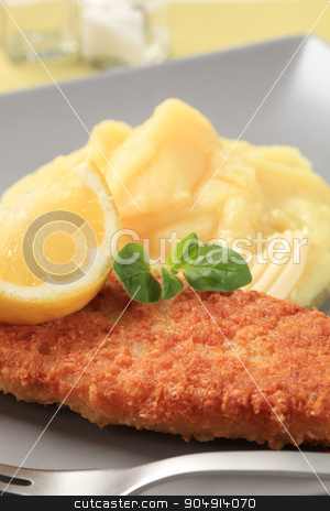 To use this stock image in your creative project, please select the size you need over to the right and click the "Add to Cart" button.
Your downloaded image will come with the Cutcaster watermark removed so don’t worry about the watermark you see on this page. Fried fish with mashed potato stock photo, Fried breaded fish fillet with mashed potato by Digifoodstock