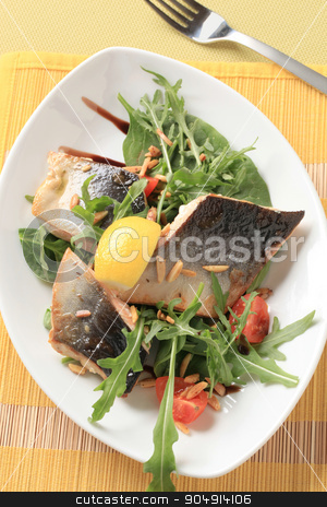 To use this stock image in your creative project, please select the size you need over to the right and click the "Add to Cart" button.
Your downloaded image will come with the Cutcaster watermark removed so don’t worry about the watermark you see on this page. Fish fillets with salad greens and chopped almonds stock photo, Fish fillets on bed of salad greens sprinkled with chopped almonds by Digifoodstock