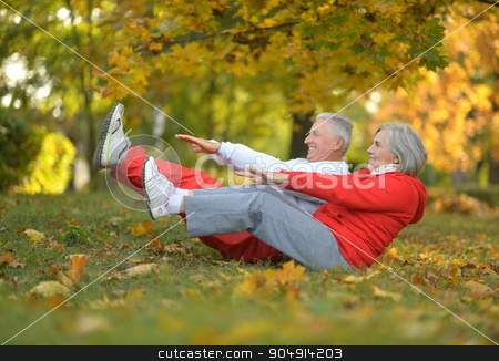 To use this stock image in your creative project, please select the size you need over to the right and click the "Add to Cart" button.
Your downloaded image will come with the Cutcaster watermark removed so don’t worry about the watermark you see on this page. fit senior couple exercising stock photo, Happy fit senior couple exercising in autumn park by Ruslan Huzau