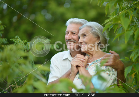 To use this stock image in your creative project, please select the size you need over to the right and click the "Add to Cart" button.
Your downloaded image will come with the Cutcaster watermark removed so don’t worry about the watermark you see on this page. mature couple in summer park stock photo, Loving mature couple in a summer park by Ruslan Huzau