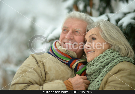 To use this stock image in your creative project, please select the size you need over to the right and click the "Add to Cart" button.
Your downloaded image will come with the Cutcaster watermark removed so don’t worry about the watermark you see on this page. senior couple at winter outdoors stock photo, Portrait of a happy senior couple at winter outdoors by Ruslan Huzau