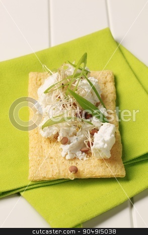 To use this stock image in your creative project, please select the size you need over to the right and click the "Add to Cart" button.
Your downloaded image will come with the Cutcaster watermark removed so don’t worry about the watermark you see on this page. Crispbread and cheese stock photo, Crispbread and cheese sprinkled with lentil sprouts and spring onion by Digifoodstock