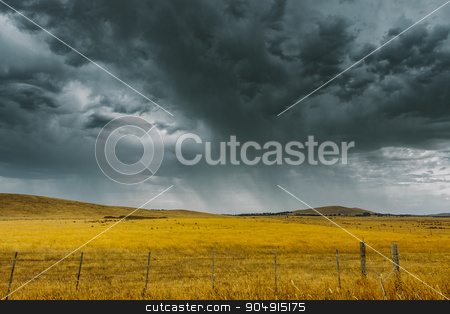 To use this stock image in your creative project, please select the size you need over to the right and click the "Add to Cart" button.
Your downloaded image will come with the Cutcaster watermark removed so don’t worry about the watermark you see on this page. Storm brewing stock photo, A storm is brewing over crops after a sever heatwave in Melbourne. by David Hewison