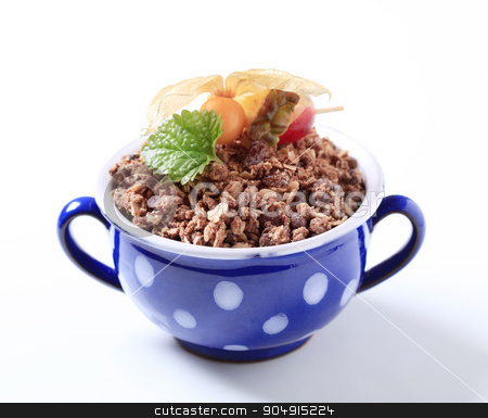 To use this stock image in your creative project, please select the size you need over to the right and click the "Add to Cart" button.
Your downloaded image will come with the Cutcaster watermark removed so don’t worry about the watermark you see on this page. Chocolate granola stock photo, Bowl of chocolate granola cereal by Digifoodstock