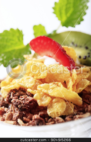 To use this stock image in your creative project, please select the size you need over to the right and click the "Add to Cart" button.
Your downloaded image will come with the Cutcaster watermark removed so don’t worry about the watermark you see on this page. Breakfast cereal stock photo, Bowl of chocolate granola and corn flakes by Digifoodstock
