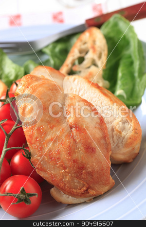 To use this stock image in your creative project, please select the size you need over to the right and click the "Add to Cart" button.
Your downloaded image will come with the Cutcaster watermark removed so don’t worry about the watermark you see on this page. Appetizer stock photo, Pan roasted chicken breast with crispy bread and lettuce by Digifoodstock