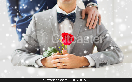 To use this stock image in your creative project, please select the size you need over to the right and click the "Add to Cart" button.
Your downloaded image will come with the Cutcaster watermark removed so don’t worry about the watermark you see on this page. close up of male gay couple with wedding rings on stock photo, people, celebration, homosexuality, same-sex marriage and love concept - close up of male gay couple with red rose flower putting hand on shoulder over snow effect by Syda Productions