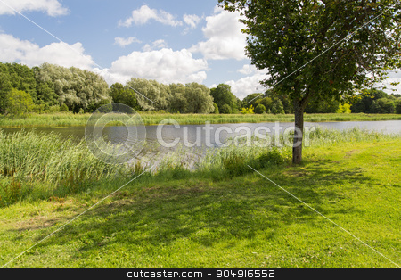 To use this stock image in your creative project, please select the size you need over to the right and click the "Add to Cart" button.
Your downloaded image will come with the Cutcaster watermark removed so don’t worry about the watermark you see on this page. summer field and trees stock photo, nature, season, landscape and environment concept - summer field and trees by Syda Productions