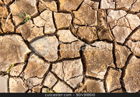 To use this stock image in your creative project, please select the size you need over to the right and click the "Add to Cart" button.
Your downloaded image will come with the Cutcaster watermark removed so don’t worry about the watermark you see on this page. crack ground stock photo, a crack ground in arid environment ,Thailand by stockdevil