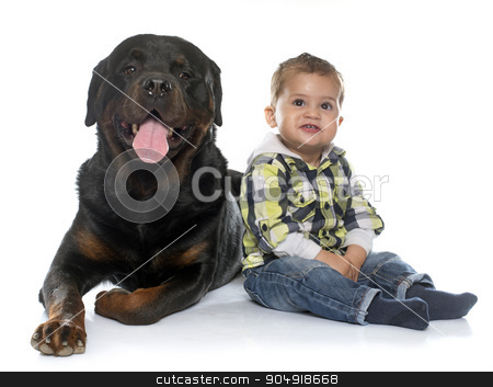 To use this stock image in your creative project, please select the size you need over to the right and click the "Add to Cart" button.
Your downloaded image will come with the Cutcaster watermark removed so don’t worry about the watermark you see on this page. little boy and rottweiler stock photo, little boy and rottweiler in front of white background by Bonzami Emmanuelle