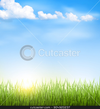To use this stock image in your creative project, please select the size you need over to the right and click the "Add to Cart" button.
Your downloaded image will come with the Cutcaster watermark removed so don’t worry about the watermark you see on this page. Grass lawn with clouds and sun on blue sky stock vector clipart, Green grass lawn with clouds and sun on blue sky by Makkuro_GL