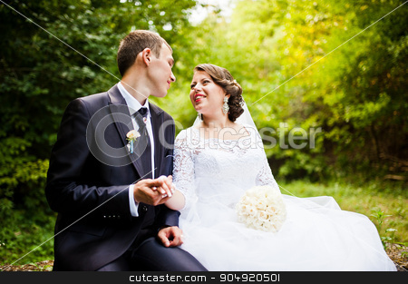 To use this stock image in your creative project, please select the size you need over to the right and click the "Add to Cart" button.
Your downloaded image will come with the Cutcaster watermark removed so don’t worry about the watermark you see on this page. Wedding couple at green alley stock photo, Wedding couple at green alley by Andrii Shevchuk