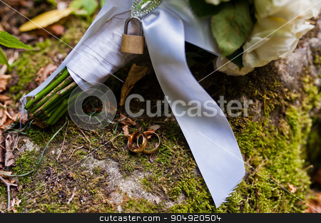 To use this stock image in your creative project, please select the size you need over to the right and click the "Add to Cart" button.
Your downloaded image will come with the Cutcaster watermark removed so don’t worry about the watermark you see on this page. Wedding bouquet with lock at moss stock photo, Wedding bouquet with lock at moss by Andrii Shevchuk