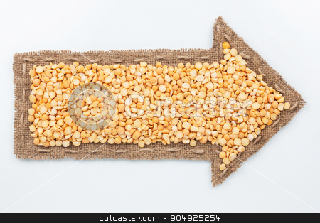 To use this stock image in your creative project, please select the size you need over to the right and click the "Add to Cart" button.
Your downloaded image will come with the Cutcaster watermark removed so don’t worry about the watermark you see on this page. Pointer with peas grains stock photo, Pointer with peas grains, on white background
by alekleks