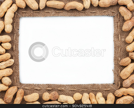 To use this stock image in your creative project, please select the size you need over to the right and click the "Add to Cart" button.
Your downloaded image will come with the Cutcaster watermark removed so don’t worry about the watermark you see on this page. Frame made of burlap with peanut stock photo, Frame made of burlap with peanut, on a white background by alekleks