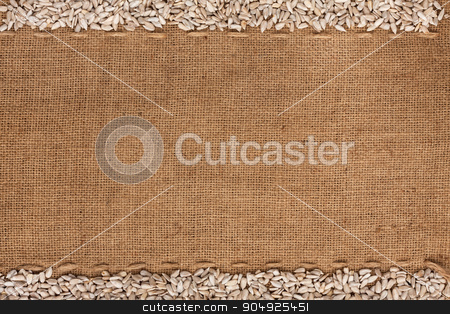 To use this stock image in your creative project, please select the size you need over to the right and click the "Add to Cart" button.
Your downloaded image will come with the Cutcaster watermark removed so don’t worry about the watermark you see on this page. sunflower seeds were lying on sackcloth stock photo, sunflower seeds were lying on sackcloth, with space for text by alekleks