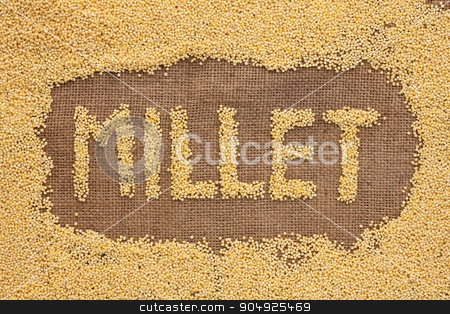 To use this stock image in your creative project, please select the size you need over to the right and click the "Add to Cart" button.
Your downloaded image will come with the Cutcaster watermark removed so don’t worry about the watermark you see on this page. Inscription millet with a millet on burlap stock photo, Inscription millet with a millet on burlap can be used as background by alekleks