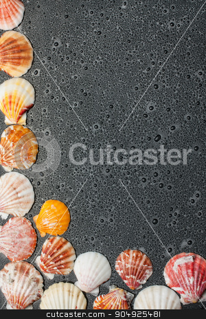 To use this stock image in your creative project, please select the size you need over to the right and click the "Add to Cart" button.
Your downloaded image will come with the Cutcaster watermark removed so don’t worry about the watermark you see on this page. Black background with seashells and water drops stock photo, Black background with seashells and water drops by alekleks
