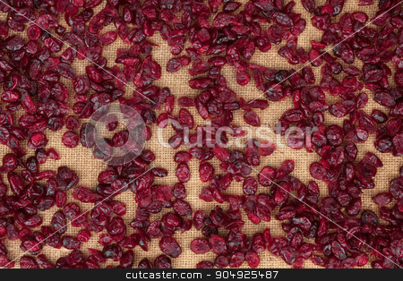To use this stock image in your creative project, please select the size you need over to the right and click the "Add to Cart" button.
Your downloaded image will come with the Cutcaster watermark removed so don’t worry about the watermark you see on this page. Background cranberries lying on sackcloth stock photo, Background cranberries lying on sackcloth, texture by alekleks