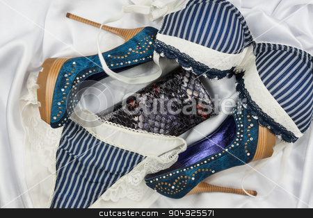 To use this stock image in your creative project, please select the size you need over to the right and click the "Add to Cart" button.
Your downloaded image will come with the Cutcaster watermark removed so don’t worry about the watermark you see on this page. Sexy lingerie and purse, jeans shoes stock photo, Sexy lingerie and purse, jeans shoes, lying on white satin by alekleks