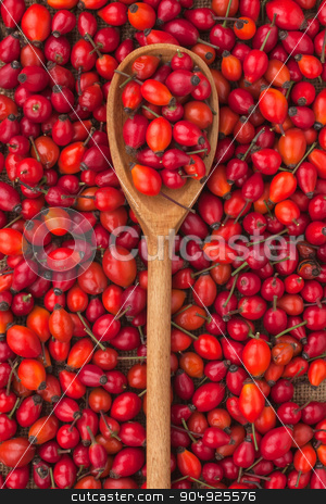 To use this stock image in your creative project, please select the size you need over to the right and click the "Add to Cart" button.
Your downloaded image will come with the Cutcaster watermark removed so don’t worry about the watermark you see on this page. wooden spoon with wild rose stock photo, wooden spoon with wild rose lies on the background of rose hips by alekleks