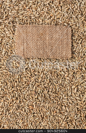 To use this stock image in your creative project, please select the size you need over to the right and click the "Add to Cart" button.
Your downloaded image will come with the Cutcaster watermark removed so don’t worry about the watermark you see on this page. Tag made of burlap lies against the backdrop of rye stock photo, Tag made of burlap lies against the backdrop of rye, with place for your creativity by alekleks