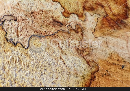 To use this stock image in your creative project, please select the size you need over to the right and click the "Add to Cart" button.
Your downloaded image will come with the Cutcaster watermark removed so don’t worry about the watermark you see on this page. Wooden Background stock photo, Wooden Background by Sergej Razvodovskij