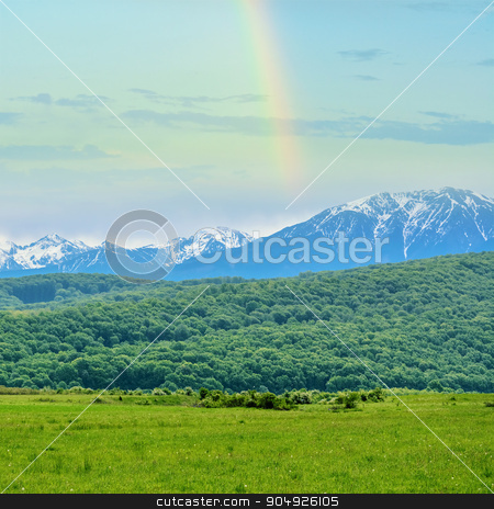 To use this stock image in your creative project, please select the size you need over to the right and click the "Add to Cart" button.
Your downloaded image will come with the Cutcaster watermark removed so don’t worry about the watermark you see on this page. Snow-capped Mountains stock photo, Snow-capped Mountains of Romania by Sergej Razvodovskij