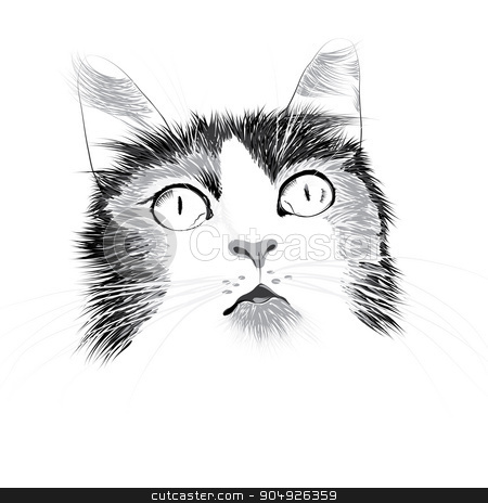 To use this stock image in your creative project, please select the size you need over to the right and click the "Add to Cart" button.
Your downloaded image will come with the Cutcaster watermark removed so don’t worry about the watermark you see on this page. Illustration head of a cat stock vector clipart, Illustration head of a cat by ElemenTxD