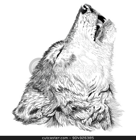 To use this stock image in your creative project, please select the size you need over to the right and click the "Add to Cart" button.
Your downloaded image will come with the Cutcaster watermark removed so don’t worry about the watermark you see on this page. Wolf howls sketch stock vector clipart, Vector portrait of angry wolf face by ElemenTxD