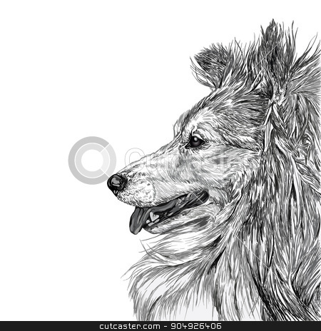 To use this stock image in your creative project, please select the size you need over to the right and click the "Add to Cart" button.
Your downloaded image will come with the Cutcaster watermark removed so don’t worry about the watermark you see on this page. Sketch of Siberian dog stock vector clipart, Sketch of Siberian dog black and white by ElemenTxD