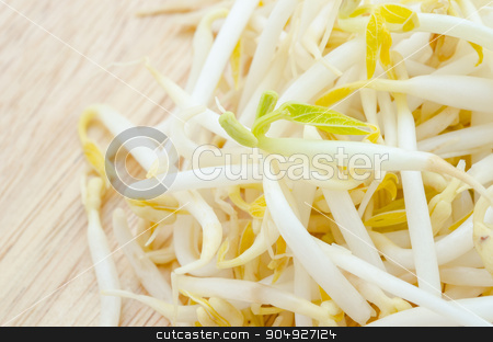To use this stock image in your creative project, please select the size you need over to the right and click the "Add to Cart" button.
Your downloaded image will come with the Cutcaster watermark removed so don’t worry about the watermark you see on this page. Mungbean Sprouts. stock photo, Mungbean Sprouts on wooden background. by Miss. PENCHAN PUMILA