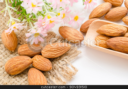 To use this stock image in your creative project, please select the size you need over to the right and click the "Add to Cart" button.
Your downloaded image will come with the Cutcaster watermark removed so don’t worry about the watermark you see on this page. Almonds. stock photo, Almonds in wooden spoon with flower on white background. by Miss. PENCHAN PUMILA