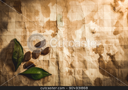 To use this stock image in your creative project, please select the size you need over to the right and click the "Add to Cart" button.
Your downloaded image will come with the Cutcaster watermark removed so don’t worry about the watermark you see on this page. Background with old paper stock photo, Background with old paper, seeds and leaves by Liubov Nazarova