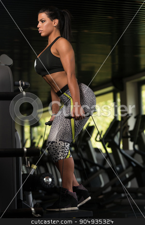 To use this stock image in your creative project, please select the size you need over to the right and click the "Add to Cart" button.
Your downloaded image will come with the Cutcaster watermark removed so don’t worry about the watermark you see on this page. Latino Woman Doing Heavy Weight Exercise For Legs stock photo, Young Latin Woman Working Out Legs On Machine In Fitness Center by Jasminko Ibrakovic