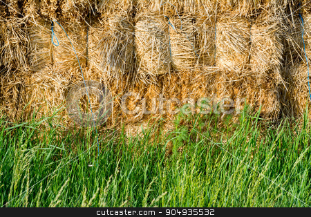 To use this stock image in your creative project, please select the size you need over to the right and click the "Add to Cart" button.
Your downloaded image will come with the Cutcaster watermark removed so don’t worry about the watermark you see on this page. Straw and fresh grass stock photo, Golden straw and fresh green grass by Attila Toró