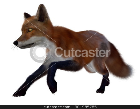 To use this stock image in your creative project, please select the size you need over to the right and click the "Add to Cart" button.
Your downloaded image will come with the Cutcaster watermark removed so don’t worry about the watermark you see on this page. Red fox running - 3D render stock photo, Red fox running isolated in white background - 3D render by Elenarts
