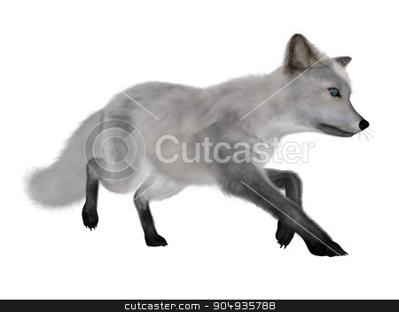 To use this stock image in your creative project, please select the size you need over to the right and click the "Add to Cart" button.
Your downloaded image will come with the Cutcaster watermark removed so don’t worry about the watermark you see on this page. White fox running - 3D render stock photo, White fox running isolated in white background - 3D render by Elenarts