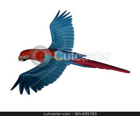To use this stock image in your creative project, please select the size you need over to the right and click the "Add to Cart" button.
Your downloaded image will come with the Cutcaster watermark removed so don’t worry about the watermark you see on this page. Scarlet macaw, parrot, flying - 3D render stock photo, Scarlet macaw, parrot, flying isolated in white background - 3D render by Elenarts