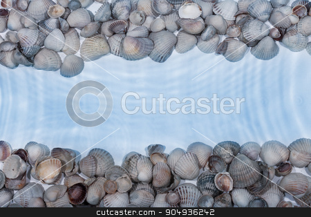 To use this stock image in your creative project, please select the size you need over to the right and click the "Add to Cart" button.
Your downloaded image will come with the Cutcaster watermark removed so don’t worry about the watermark you see on this page. Line of sea shells in the water stock photo, Line of sea shells in the water, with space for your text by alekleks