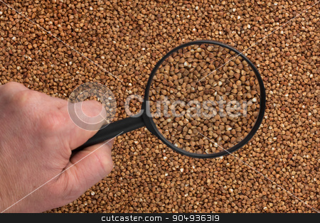 To use this stock image in your creative project, please select the size you need over to the right and click the "Add to Cart" button.
Your downloaded image will come with the Cutcaster watermark removed so don’t worry about the watermark you see on this page. Human hand holding a magnifying glass over the buckwheat stock photo, Human hand holding a magnifying glass over the buckwheat can be used as background by alekleks