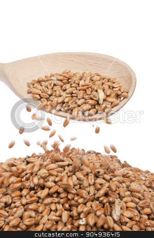 To use this stock image in your creative project, please select the size you need over to the right and click the "Add to Cart" button.
Your downloaded image will come with the Cutcaster watermark removed so don’t worry about the watermark you see on this page. Spoon of wheat stock photo, Wheat is poured from the wooden spoon by alekleks